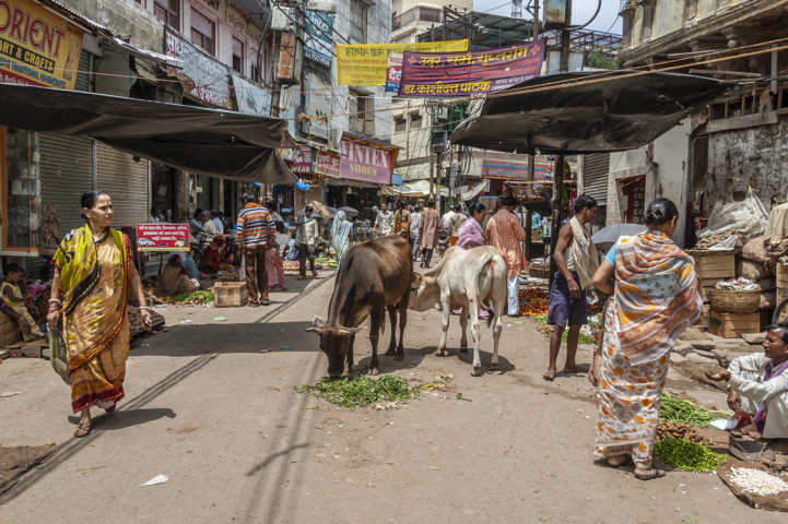 51 - India - Varanasi